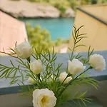 Zara Apartment- Near The Old Town ,cool And Shaded ,3 Acs , Free Parking & Peaceful Apartment Mostar