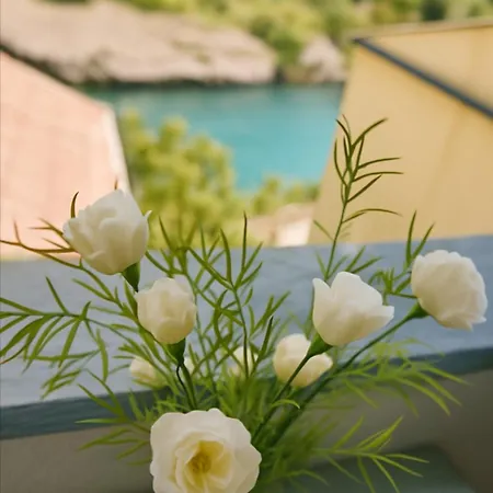 Zara Apartment- Near The Old Town ,warm,3 Acs , Free Parking & Peaceful アパート モスタル