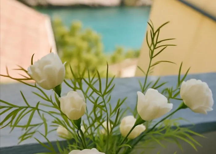 Zara Apartment- Near The Old Town ,cool And Shaded ,3 Acs , Free Parking & Peaceful Lägenhet Mostar